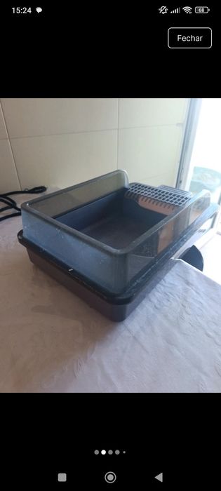 Caixa areia gato