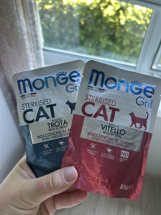 вологий корм Monge