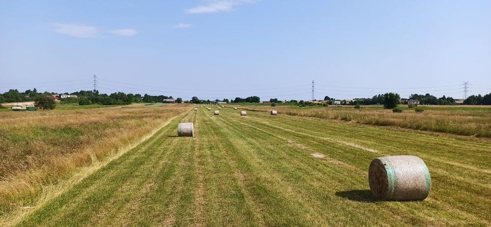 Siano w balotach suche duże ilości