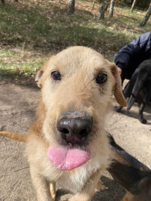 Proludzki Oliwier czeka na dom!