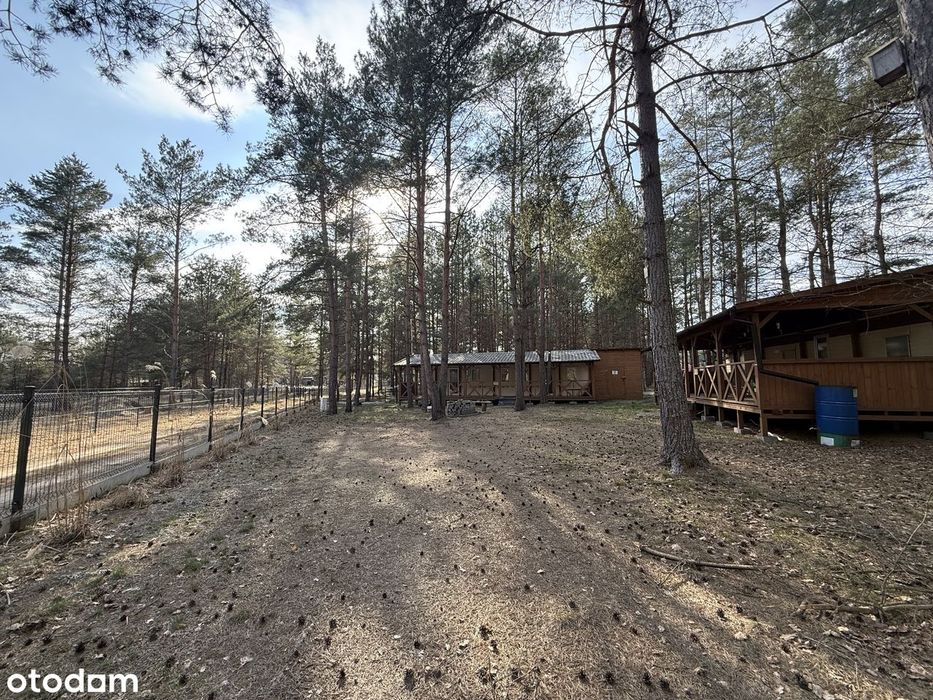 Gotowy biznes lub działka inwestycyjna – Pelnik, gm. Łukta/ MPZP!