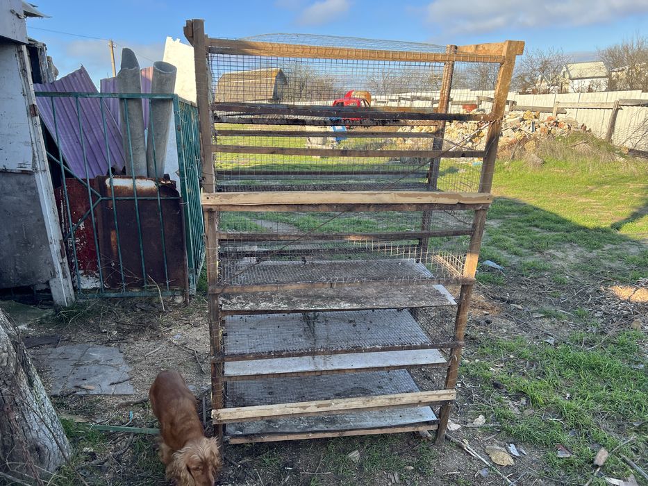 Клетка для перепелов