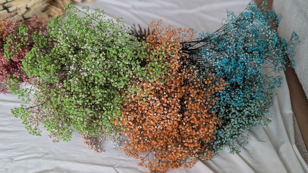 Сухоцвіти (пшениця, лагурус, фалярис)