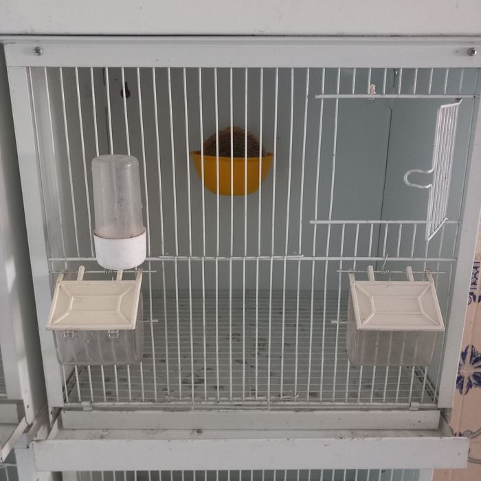 Viveiros de criação