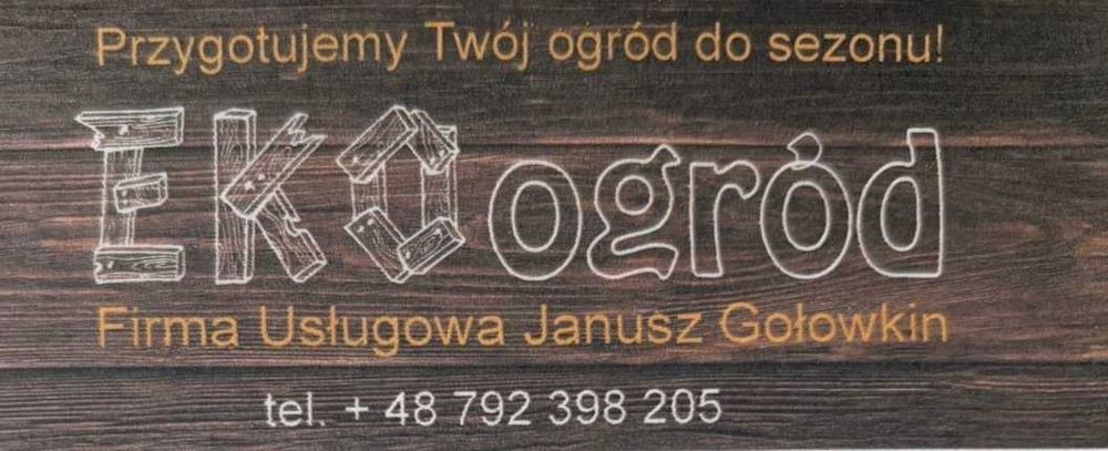 Profesjonalna wertykulacja trawnika