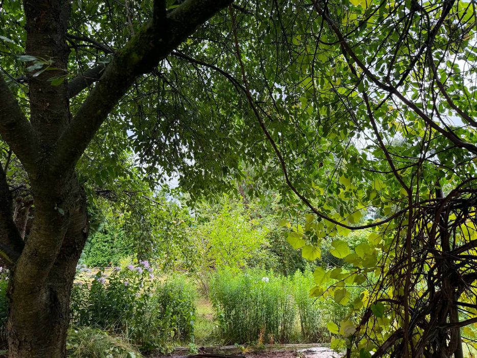 Ogródek działkowy- Łódź, Milionowa
