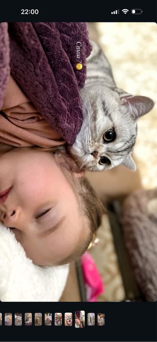 ВІДДАМ КОТА  хлопчик