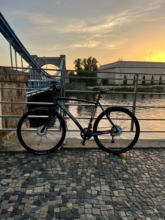 Gazelle Cityzen S9