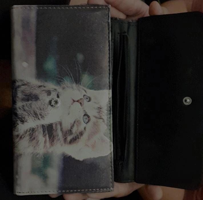 Carteira de Gato