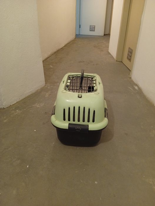 Caixa de transporte animal