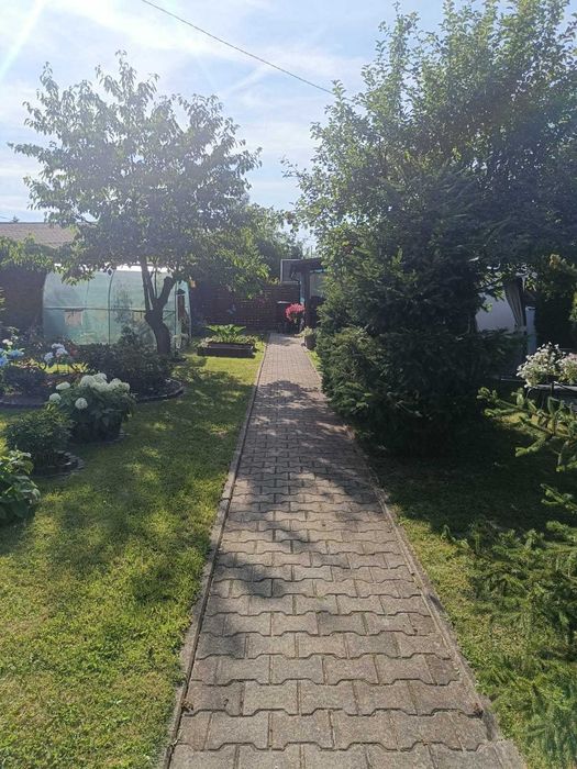 Działka rekreacyjna ROD Skałka w Bieruniu