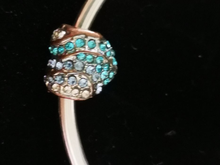 Charms do bransoletki typu bangle Pandora