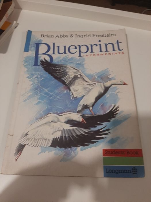 Blueprint intermediate stuedents book longman