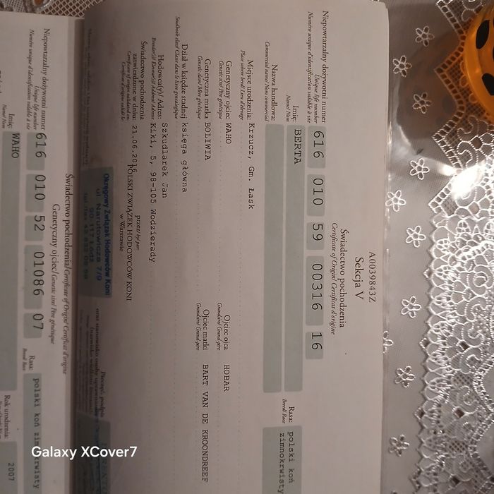 Sprzedam w komplecie klacz że źrebakiem