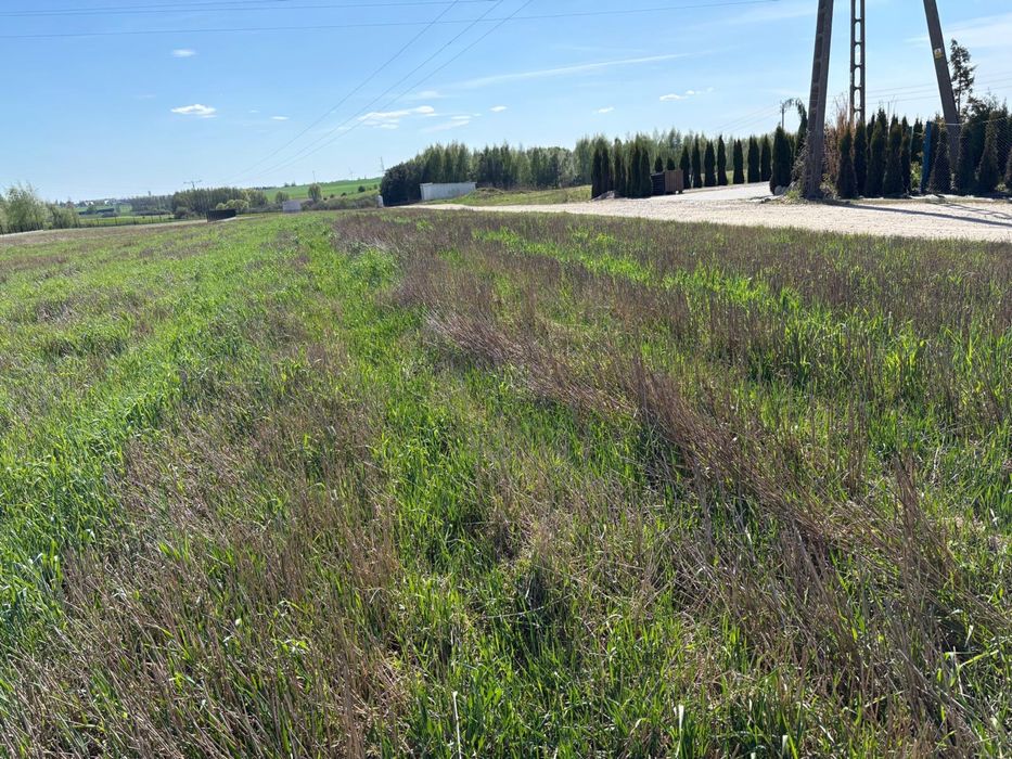 Działka budowlana nr 215/42