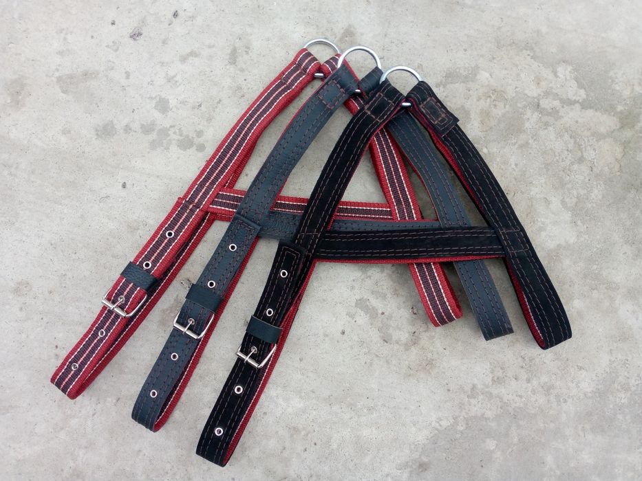 Продам упряж (збрую) для коней