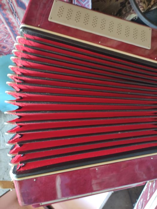 Баян Школьнік (стан нового)