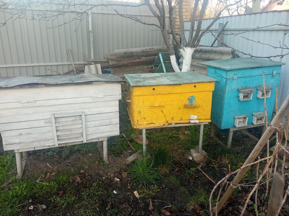 Вулики з інвентарем