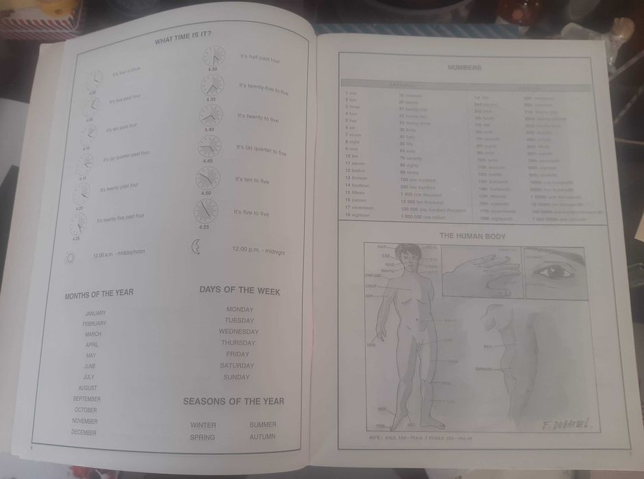 Caderno Escolar Inglês