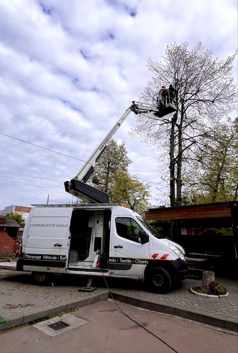 Послуги автовишки 12 м на базі Renault Master Черкаси та область
