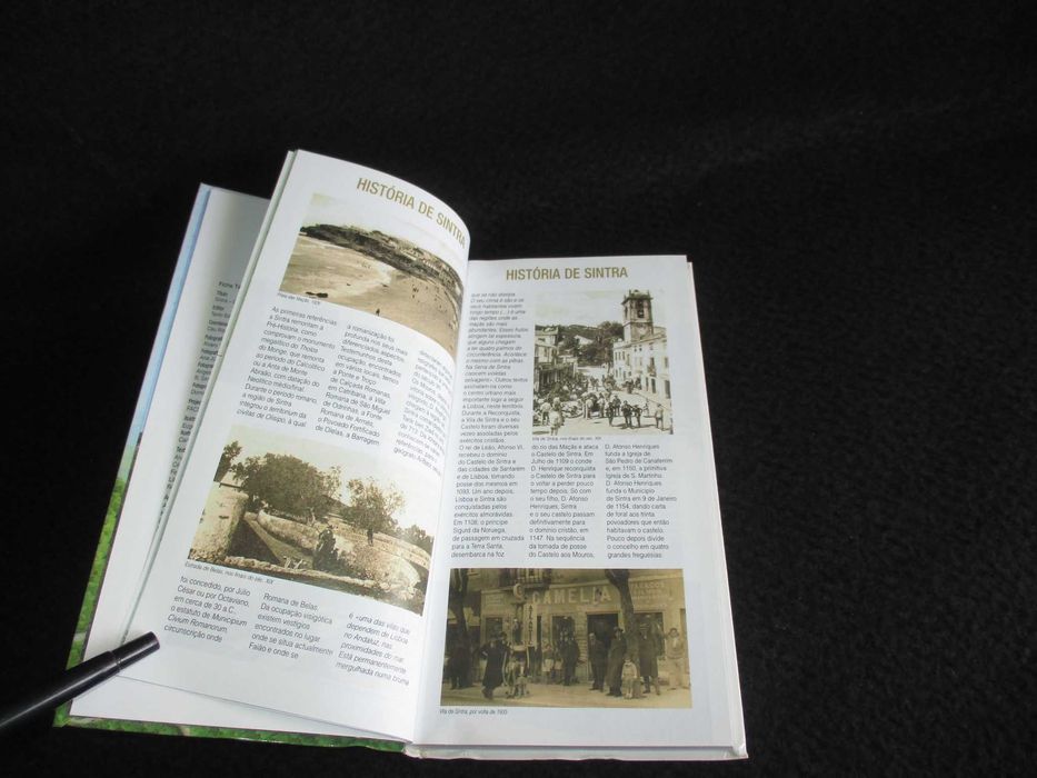 Livro Sintra Guia do Concelho Céu Ribeiro 1ª edição 2008