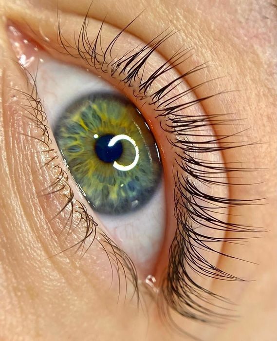 Курси ламінування вій та брів