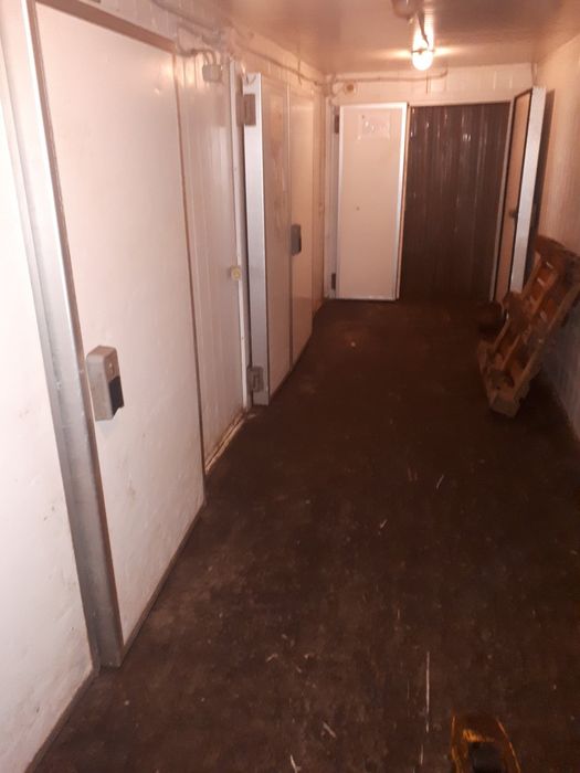 Аренда Холодильных морозильных камер