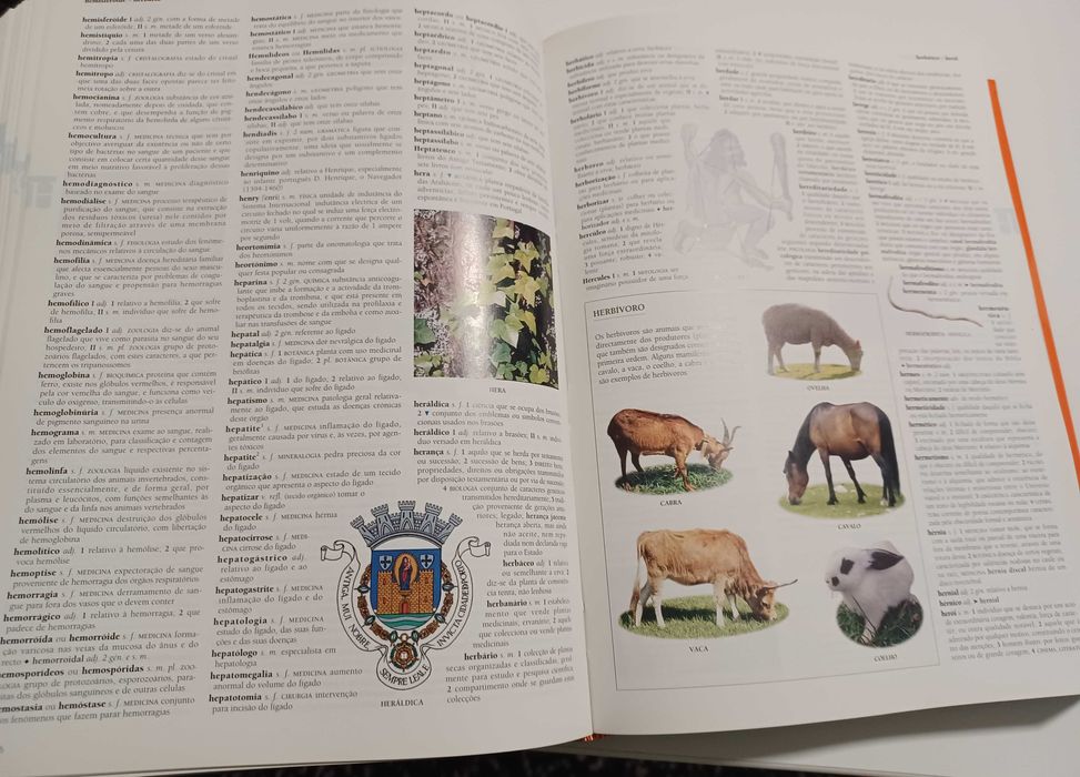 Dicionário Ilustrado de Lingua Portuguesa