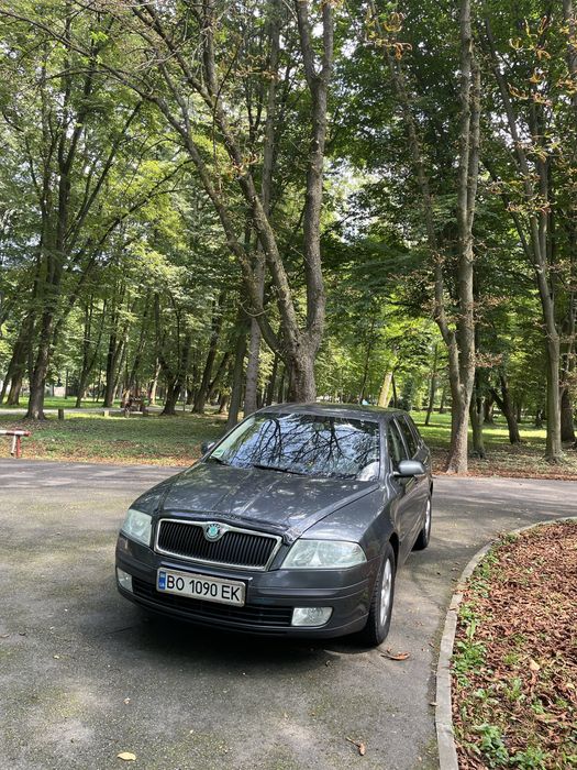 Skoda Octavia A5 2007 2.0 дизель