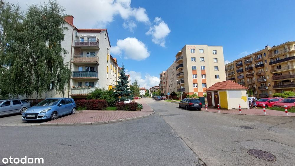Zdjęcie 8