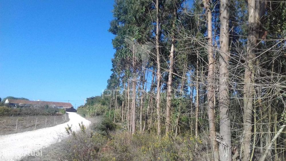 Terreno Rustico — Vimeiro, Lisboa