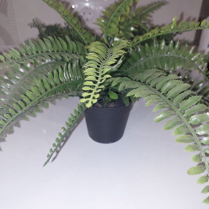 Декоративні квіти IKEA