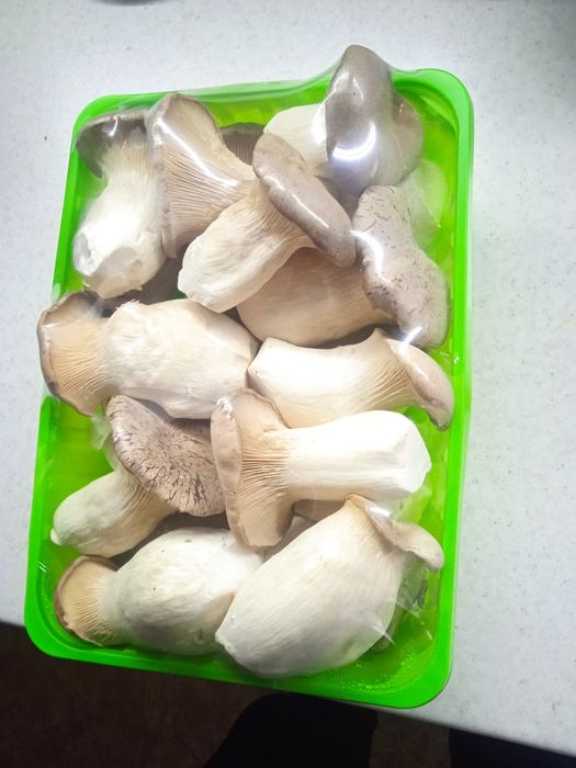 Продам грибы (эринги)