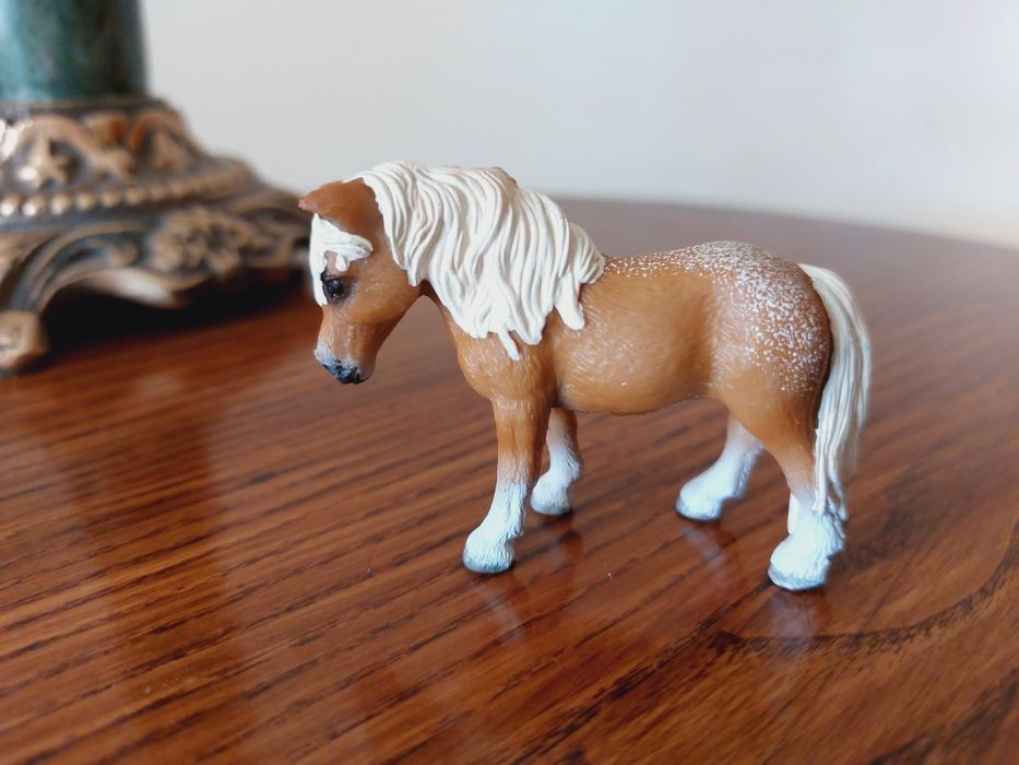 Kucyk falabella schleich