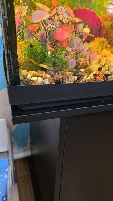 Акваріум 500 літрів