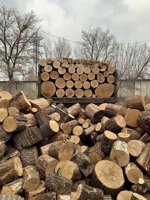 Дрова Акация Тополь Сосна Берест