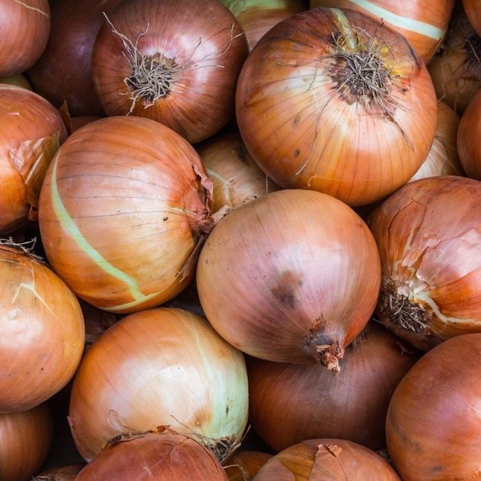 Cebula ekologiczna mała duża!!!