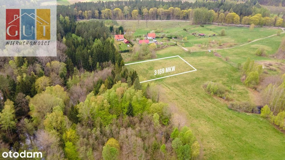 Duża piękna działka budowlana ze ścianą lasu, Wołowno! (gmina Jonkowo)