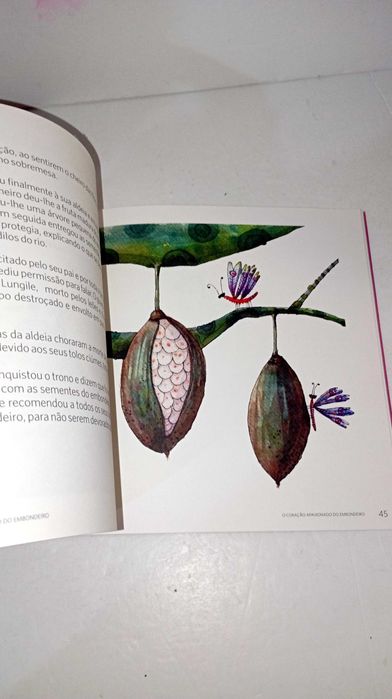 O Coração Apaixonado do Embondeiro