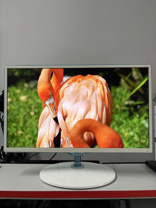 Телевізор-монітор Samsung T24D391EX (гібридний пристрій)