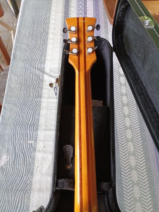 Polska gitara malwa