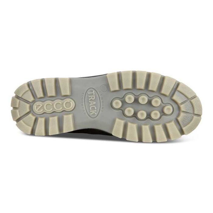 męskie buty wodoodporne GORE-TEX ECCO Track 25, Czarny, EU 40