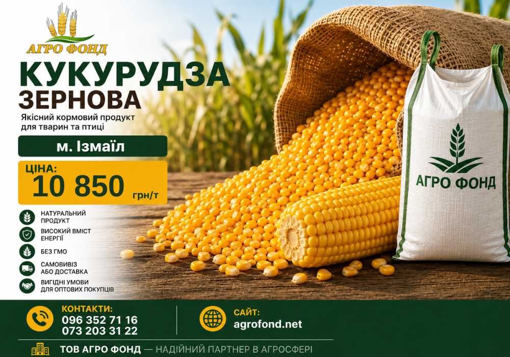 Оптова закупівля кукурудзи, купуємо кукурудзу, закупівля кукурудзи