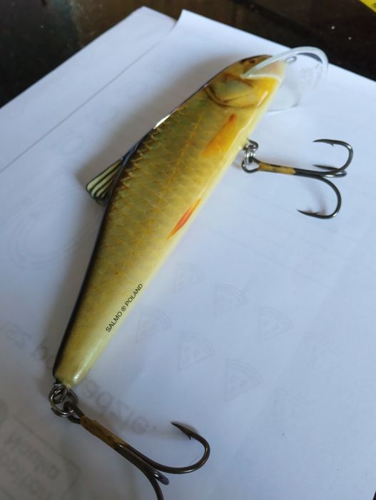Salmo Skinner 20