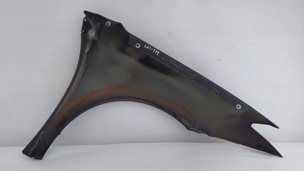 Guarda-lamas esquerdo RENAULT Laguna III Grandtour (KT0/1)