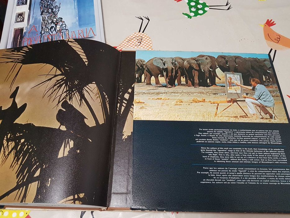 Livro antigo raro- Tesouro selvagem de Moçambique