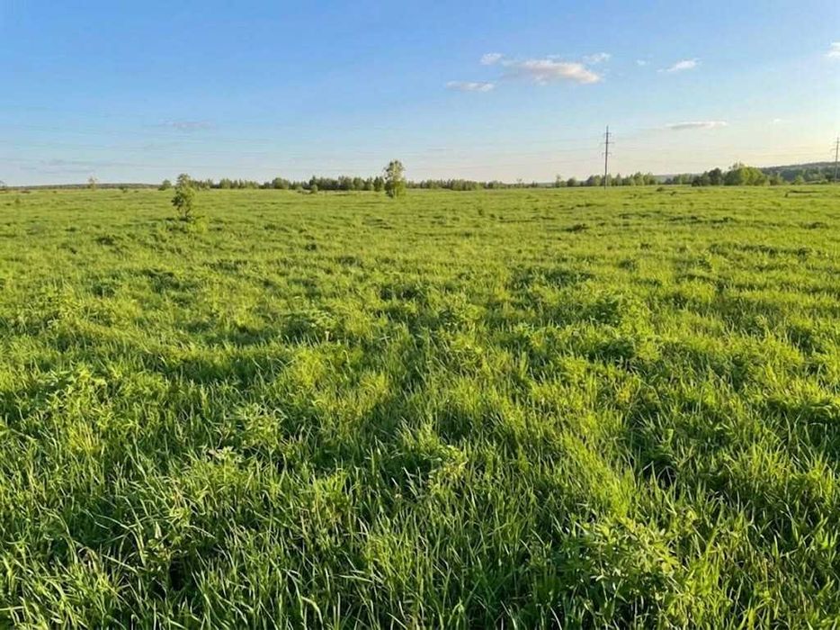 Продаж земельної ділянки 1,5982 га у Мироцькому !