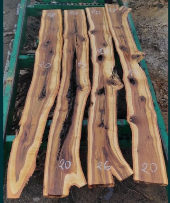 Deski foszty orzech włoski, jarząb ogl.AKTUALNE!