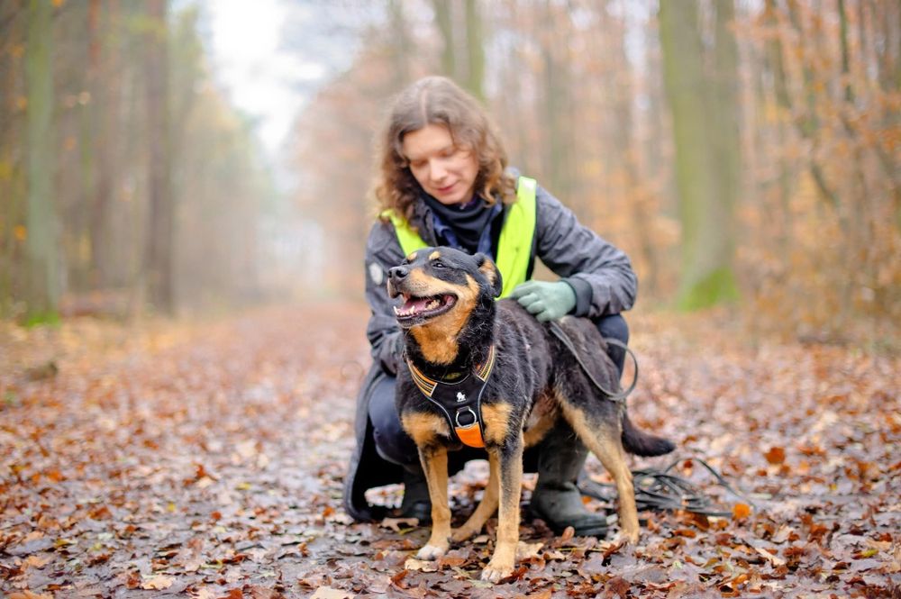 Spapcio pilnie potrzebuje  domu