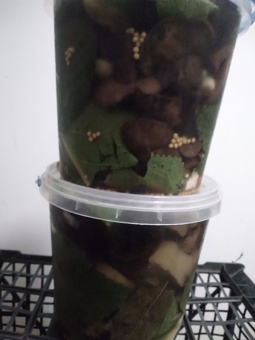 Гриби лісові  квашені,варення чорниці